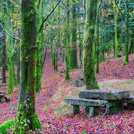 Дом отдыха Casa Na Serra - Alagoa Blue